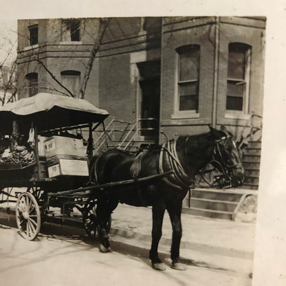 Antique Glass Plate Lantern Slide Photo Horse Drawn Wagon Vendor Cart