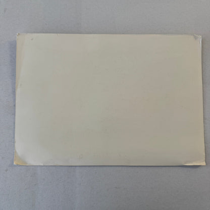 Vintage Movie Lobby Card Catlow El Oro de Nadie Spanish Film MGM