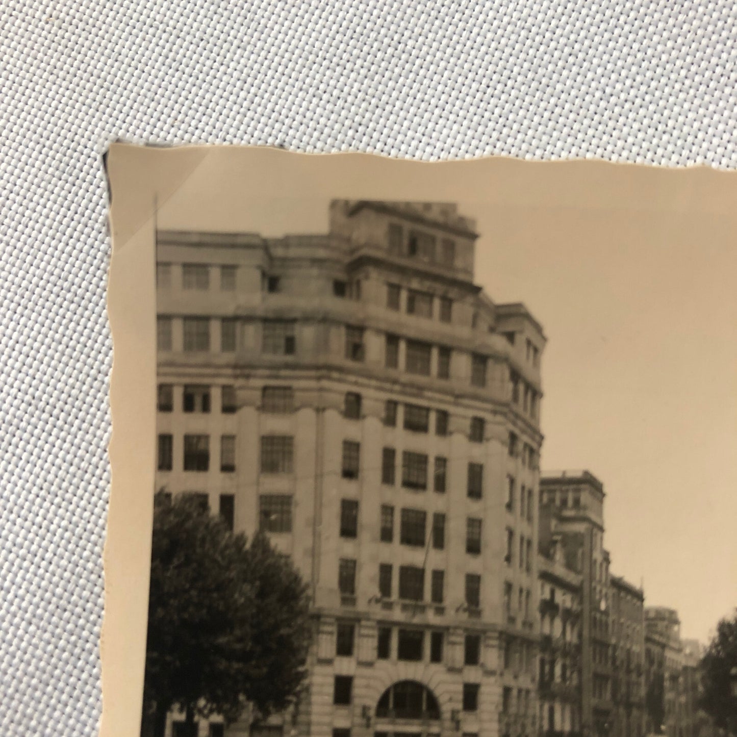 Vintage Photo Photograph Snapshot People with VW Volkswagen Beetle Bug Cars