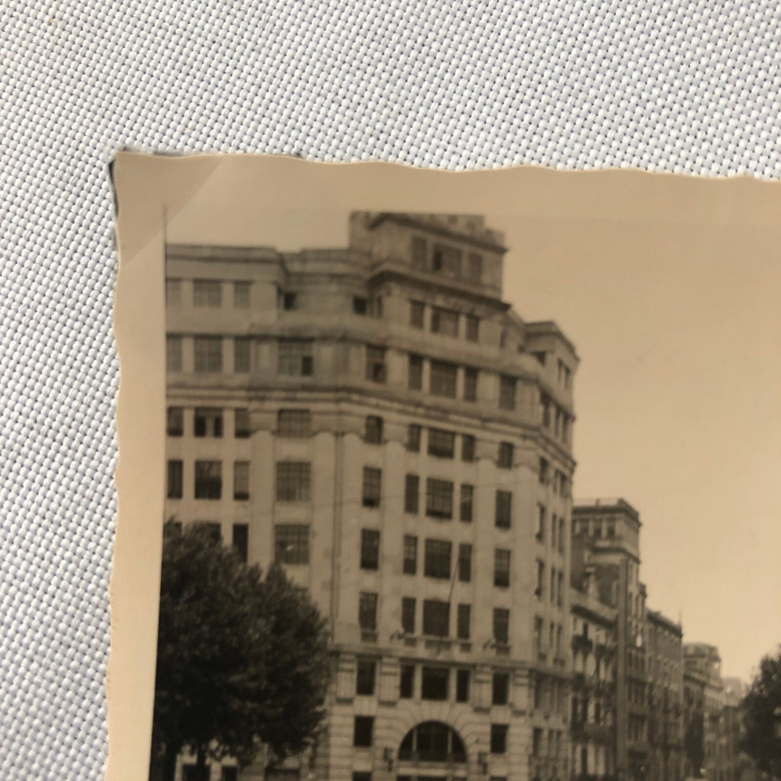 Vintage Photo Photograph Snapshot People with VW Volkswagen Beetle Bug Cars