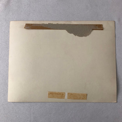 Circus Performer Act Bicycle Stunt Photo Photograph 3 Saytons Vintage