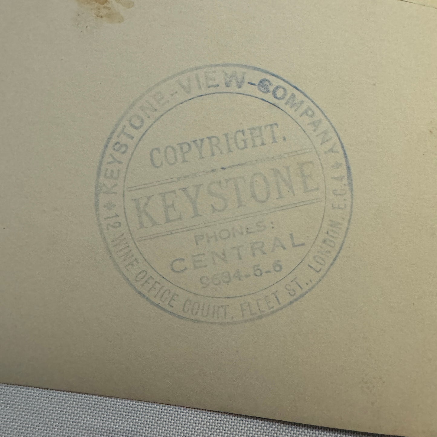 1932 British Dog Show Keystone Press Photo Photograph Crufts Dog Show