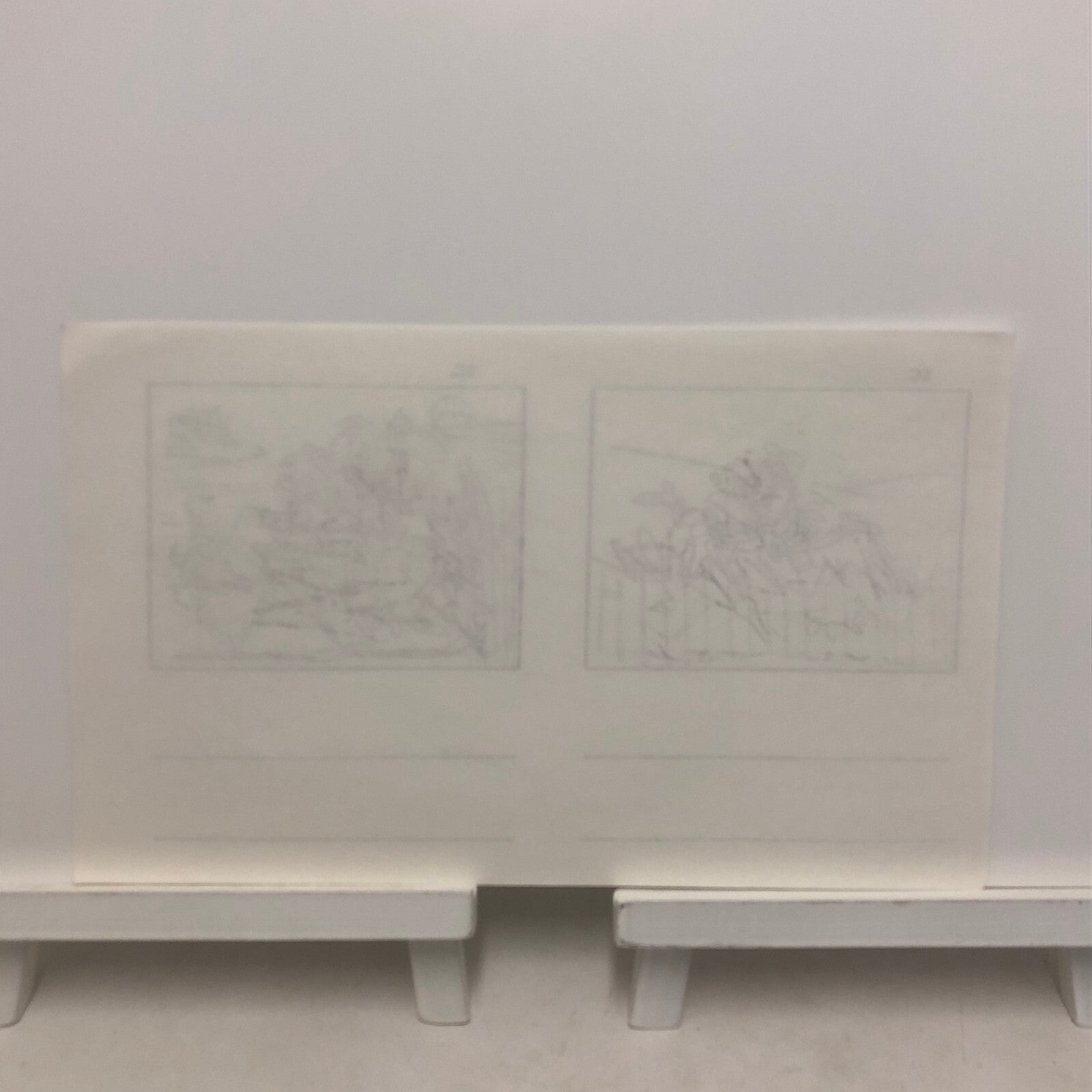 ANIMANIACS Animation Storyboard Illustration Drawing Sketch Art Story Board