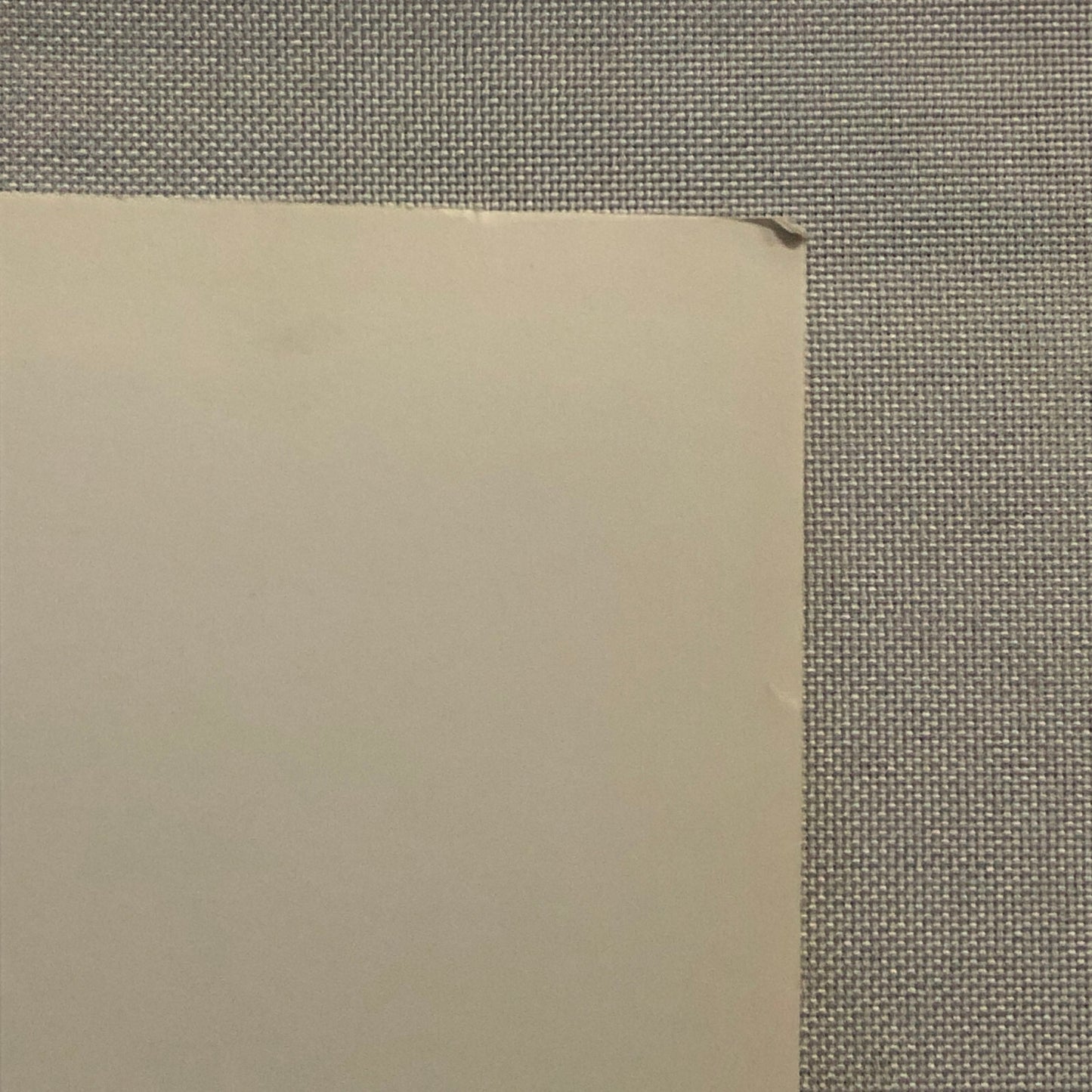 Errol Flynn Actor Portrait Photo Photograph Print Movie Still