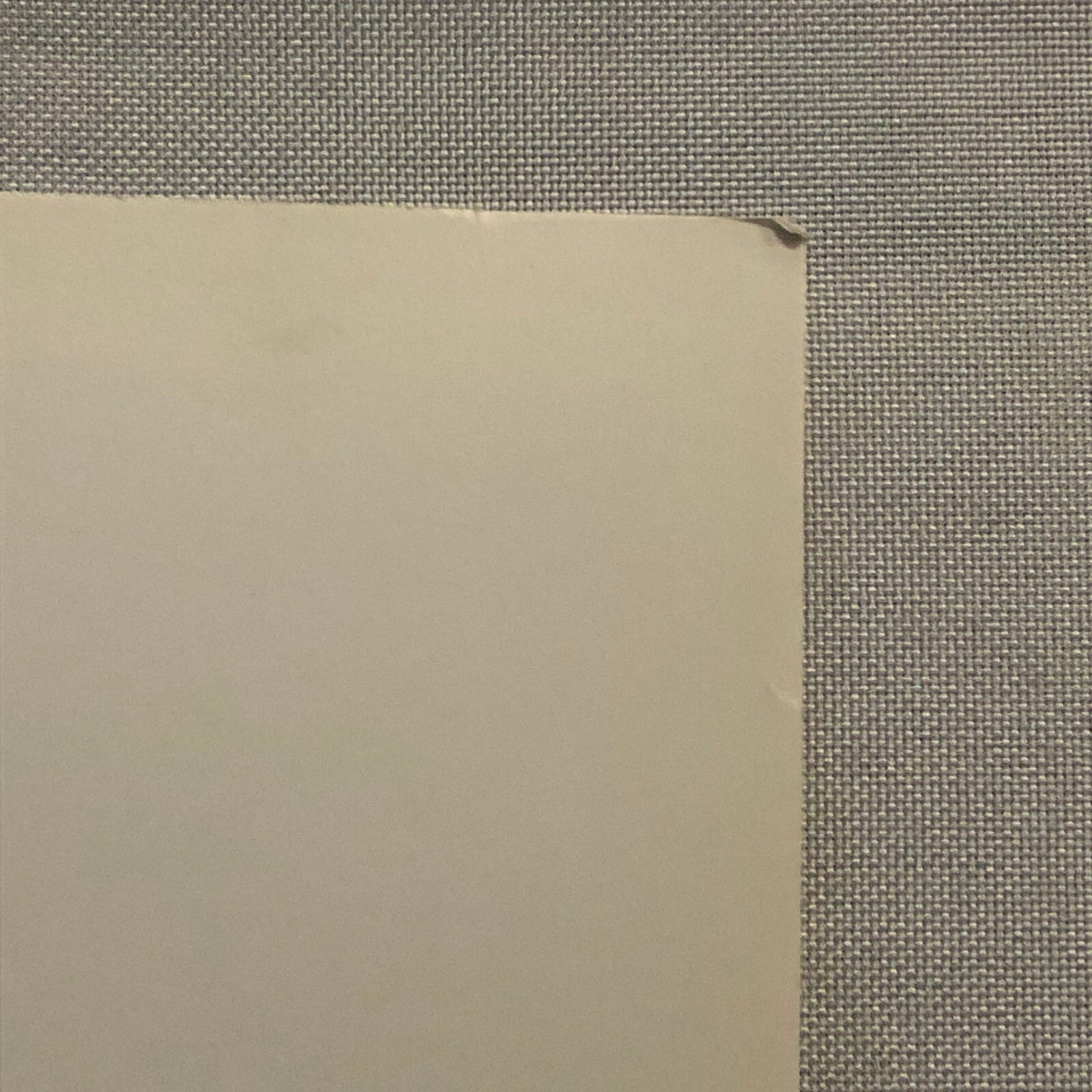 Errol Flynn Actor Portrait Photo Photograph Print Movie Still