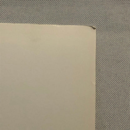 Errol Flynn Actor Portrait Photo Photograph Print Movie Still