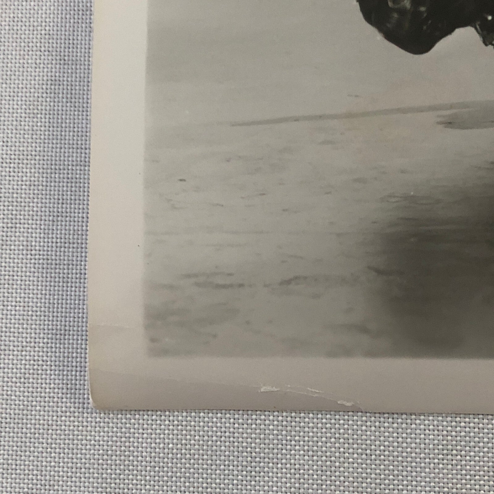 Show Boat 1951 Movie Film Photo Photograph Marge & Gower Champion