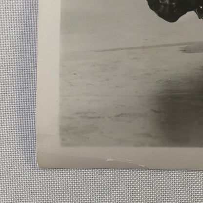 Show Boat 1951 Movie Film Photo Photograph Marge & Gower Champion