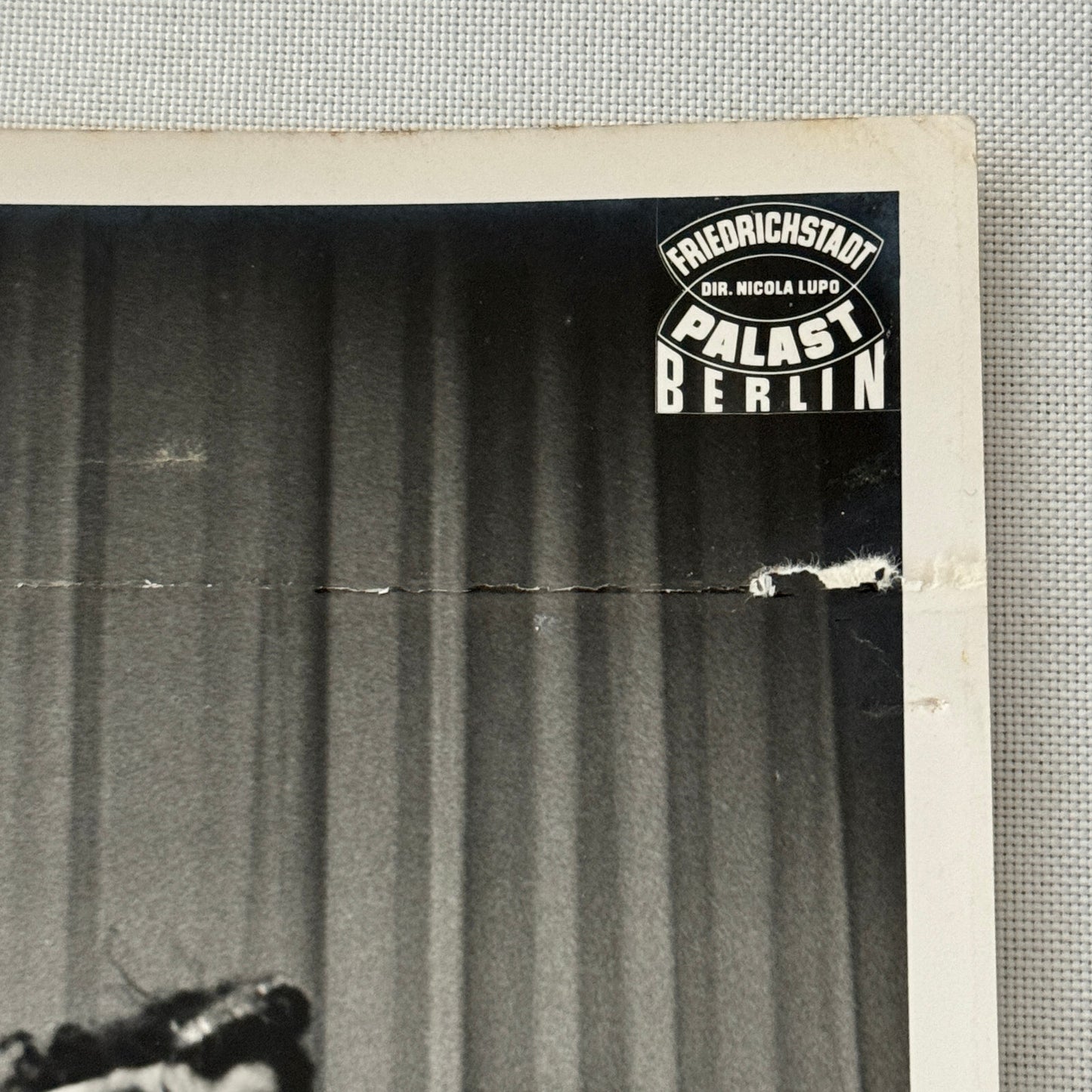 Vintage Circus Acrobat Tumbling Performer Act Photo Photograph Berlin 1953