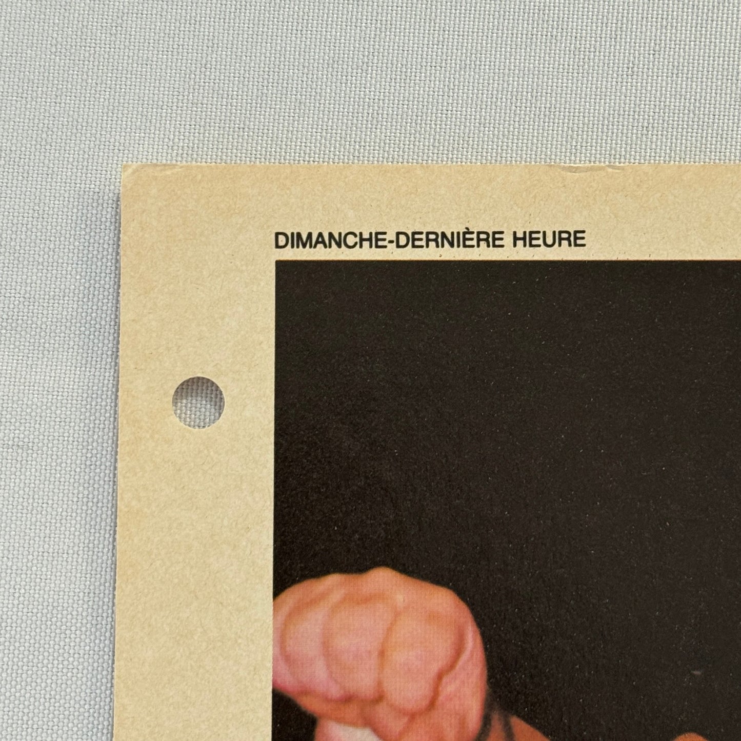 Vintage Wrestling Print Insert Dino Bravo Quebec French 1983
