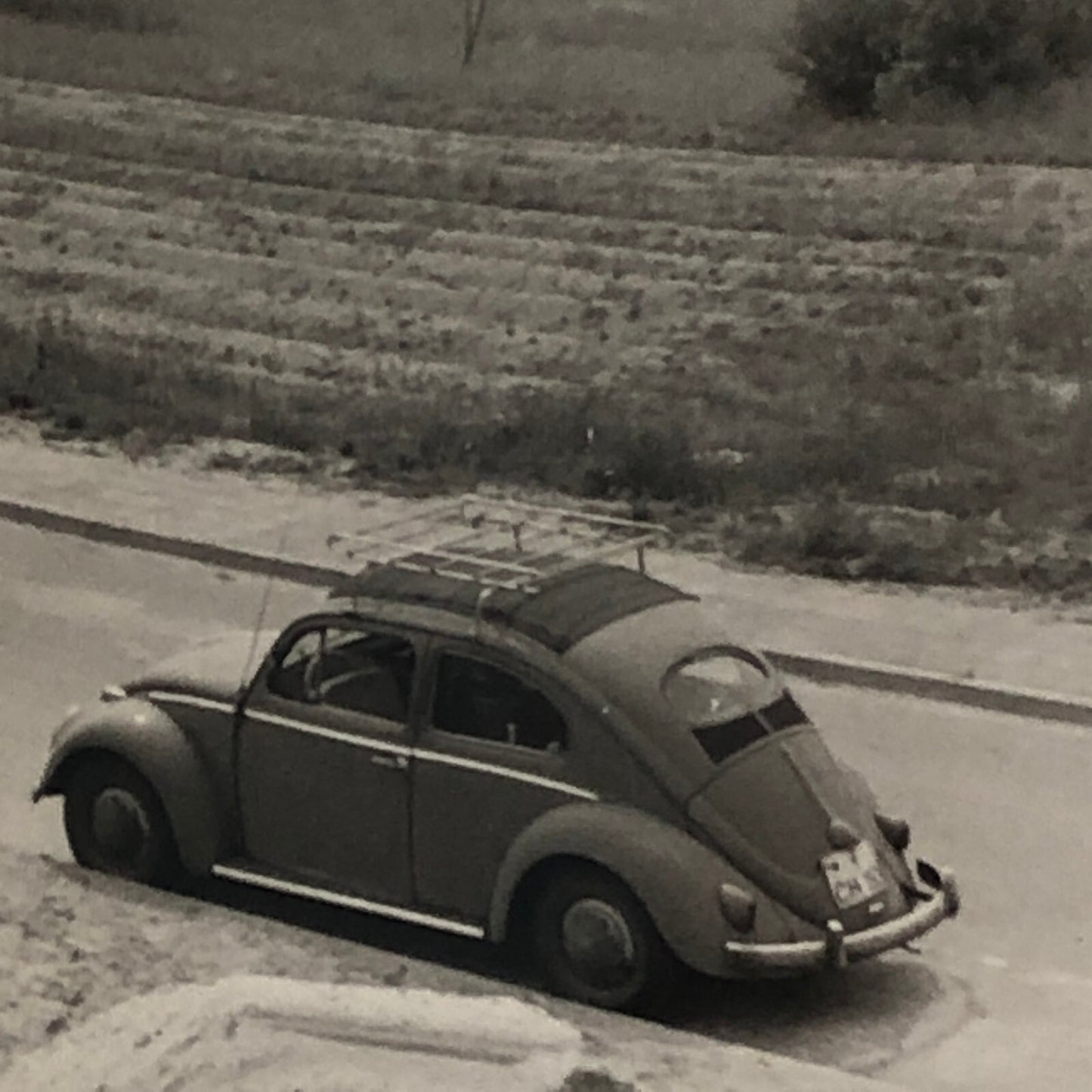 Vintage Photo Photograph Snapshot VW Volkswagen Beetle Bug Car