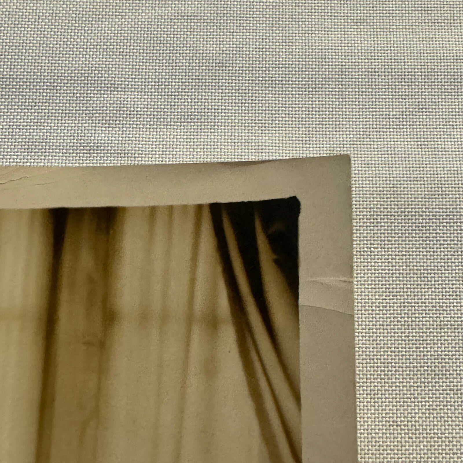 1934 Press Photo Photograph Wife of League of Nations Official with Dog