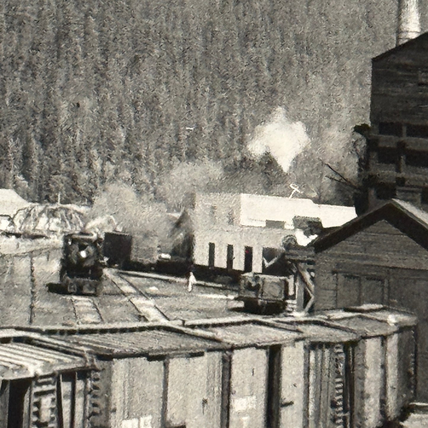 Vintage Train Railway Rail Photo Photograph CPR Yard Field British Columbia BC