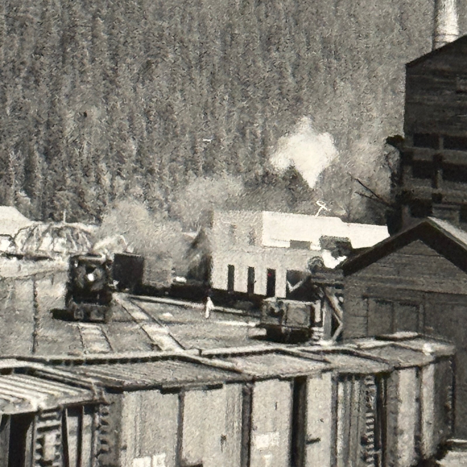 Vintage Train Railway Rail Photo Photograph CPR Yard Field British Columbia BC