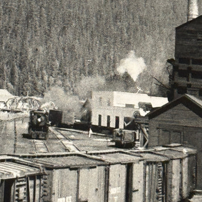 Vintage Train Railway Rail Photo Photograph CPR Yard Field British Columbia BC