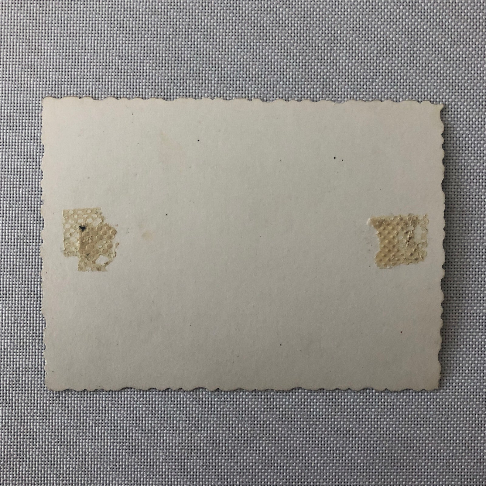 Vintage Motorcycle Racing Photo Photograph Print Germany