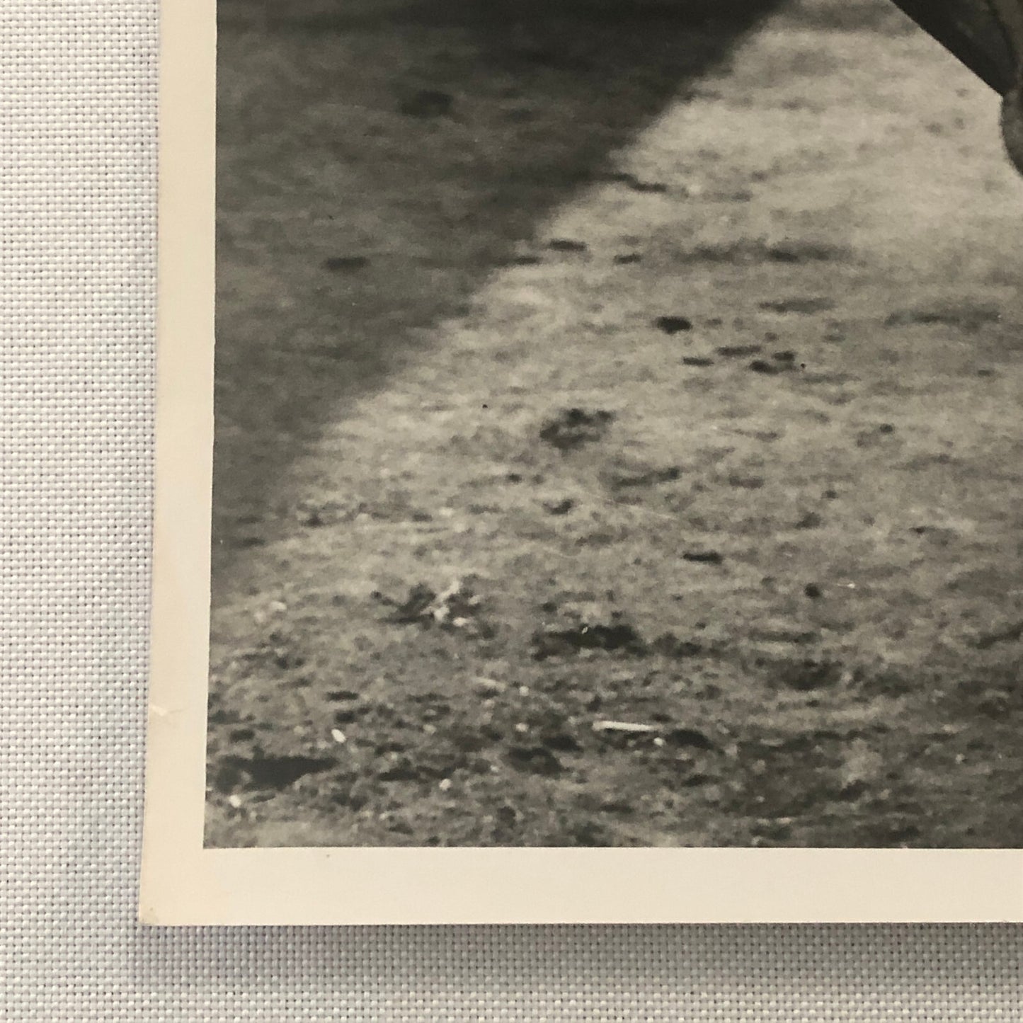 Vintage Horse Racing Photo Photograph Queens Own John Delisle