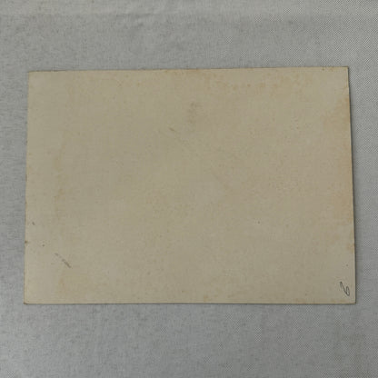 Vintage Circus Danger Act Postcard Post Card Henriette Browell in Ball