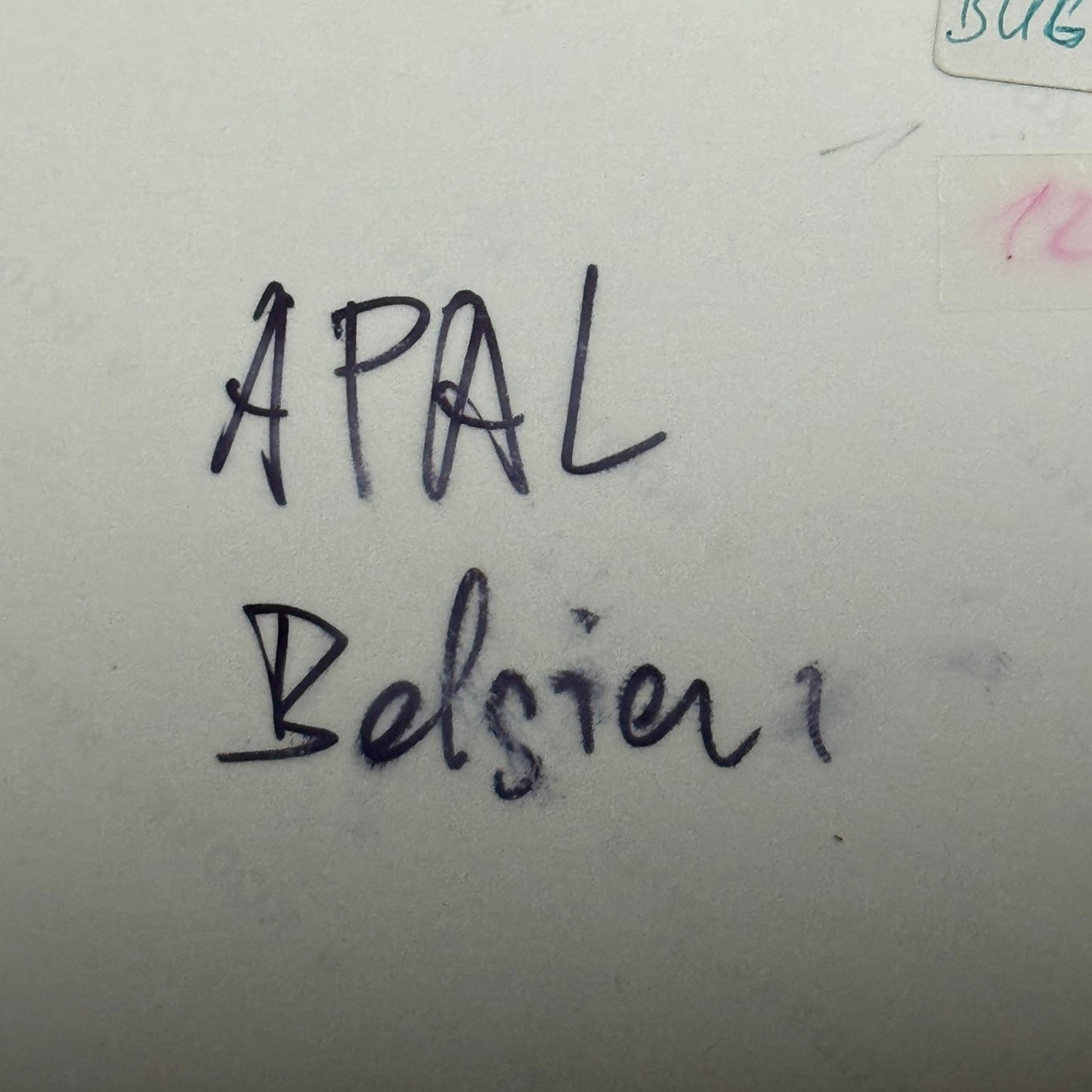 Vintage APAL Dune Buggy Kit Car Photo Photograph Volkswagen VW Chassis