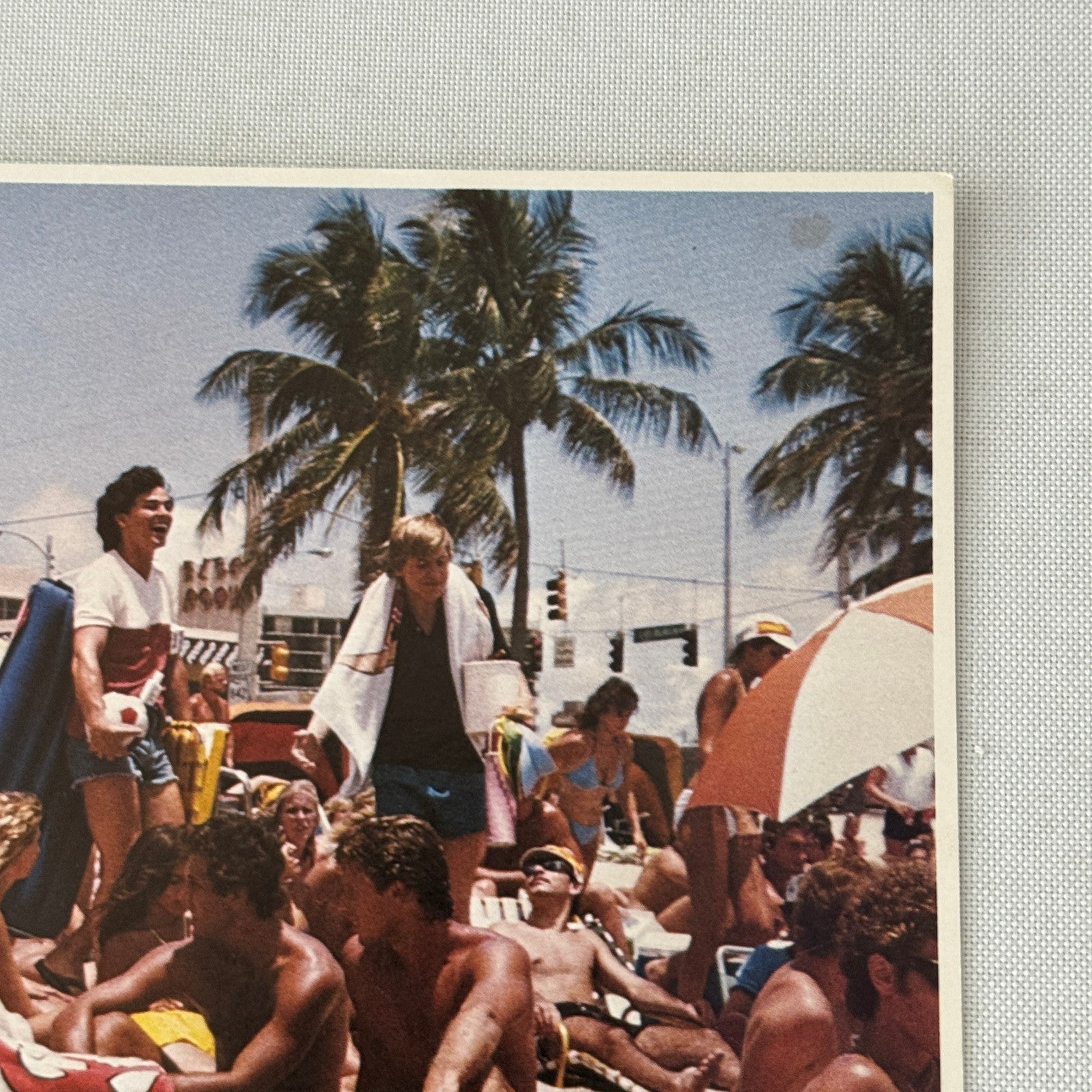 Spring Break Vintage Movie Lobby Card Film 1983 Columbia Pictures