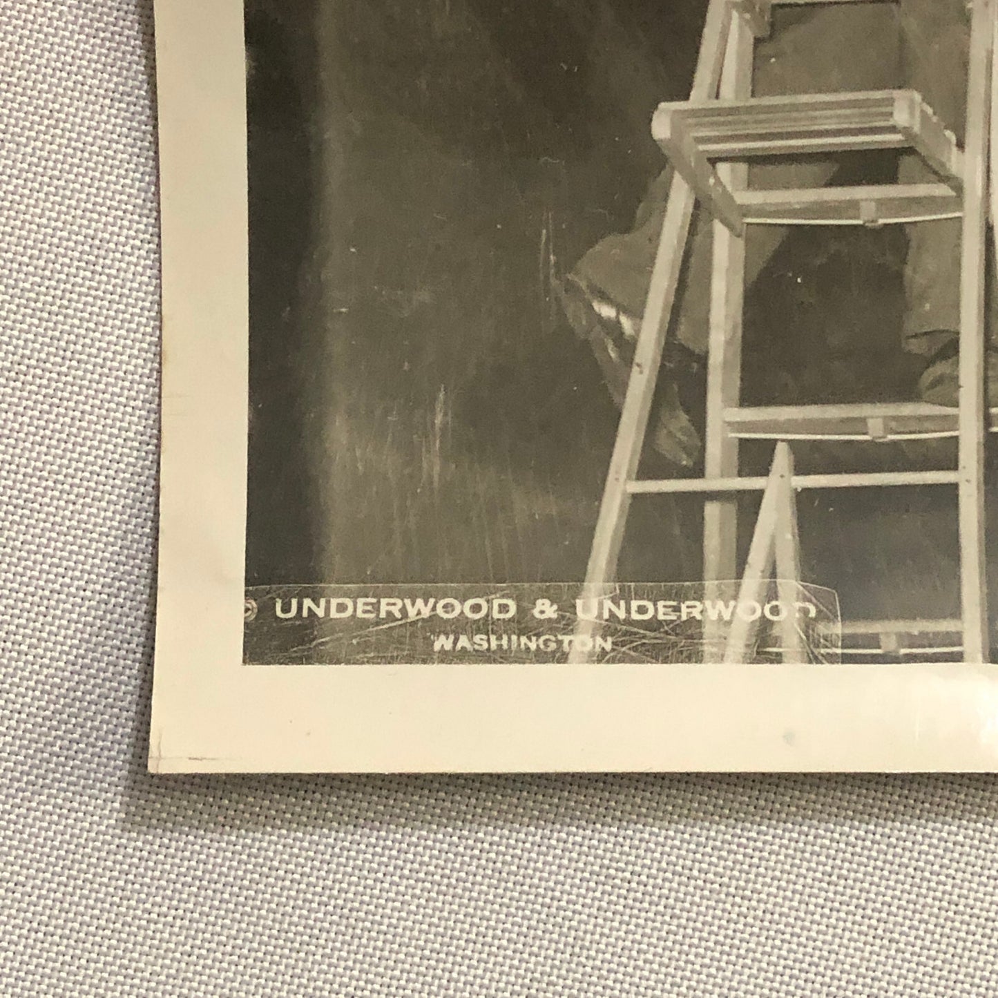 Press Photo Photograph Man Working on Fancy Chandelier 1930s Underwood Photo