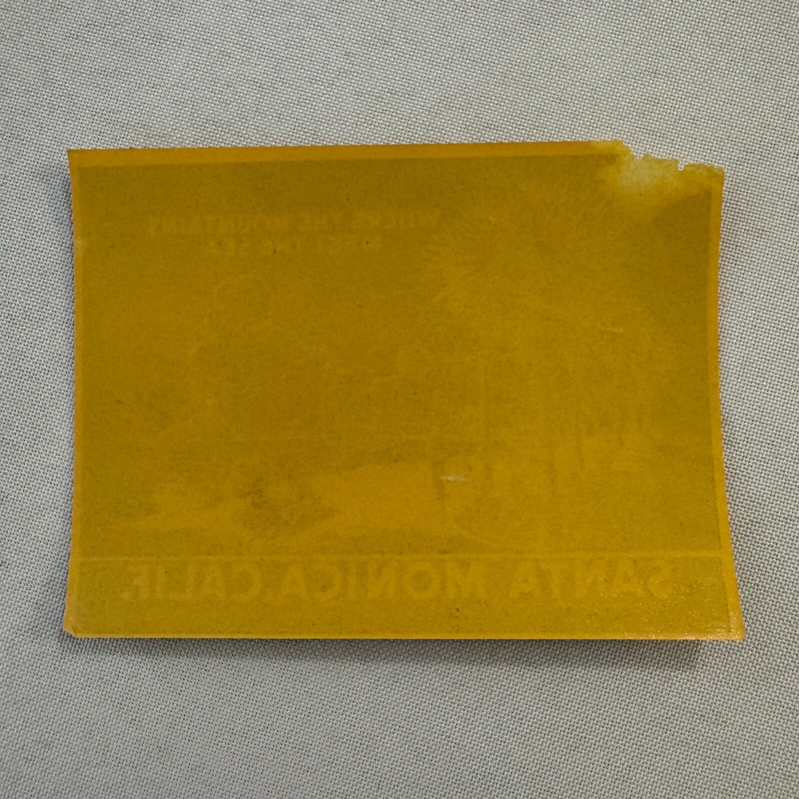 Vintage Travel Luggage Label Santa Monica California CA