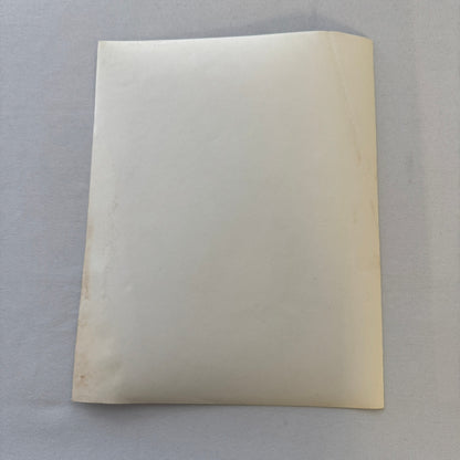 Vintage Boxing Photo Ray Mancini Boom Boom Mancini Photograph Boxer