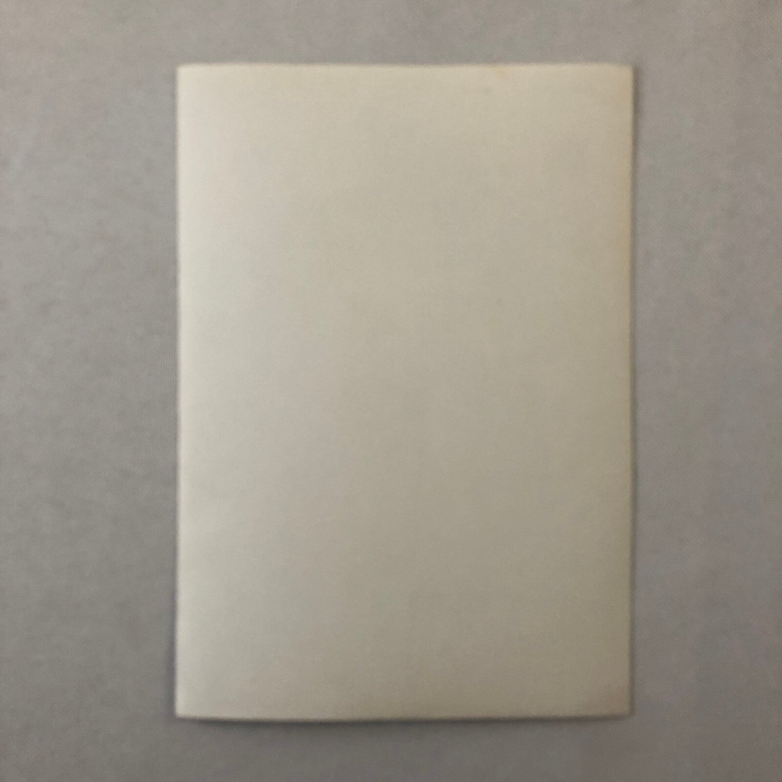 Vintage Motorcycle Racing Photo Photograph Print Germany