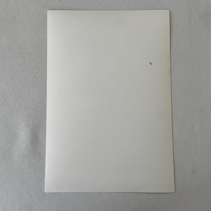 Porsche Quaker State Indy Car 89P Racing Photo Photograph Print