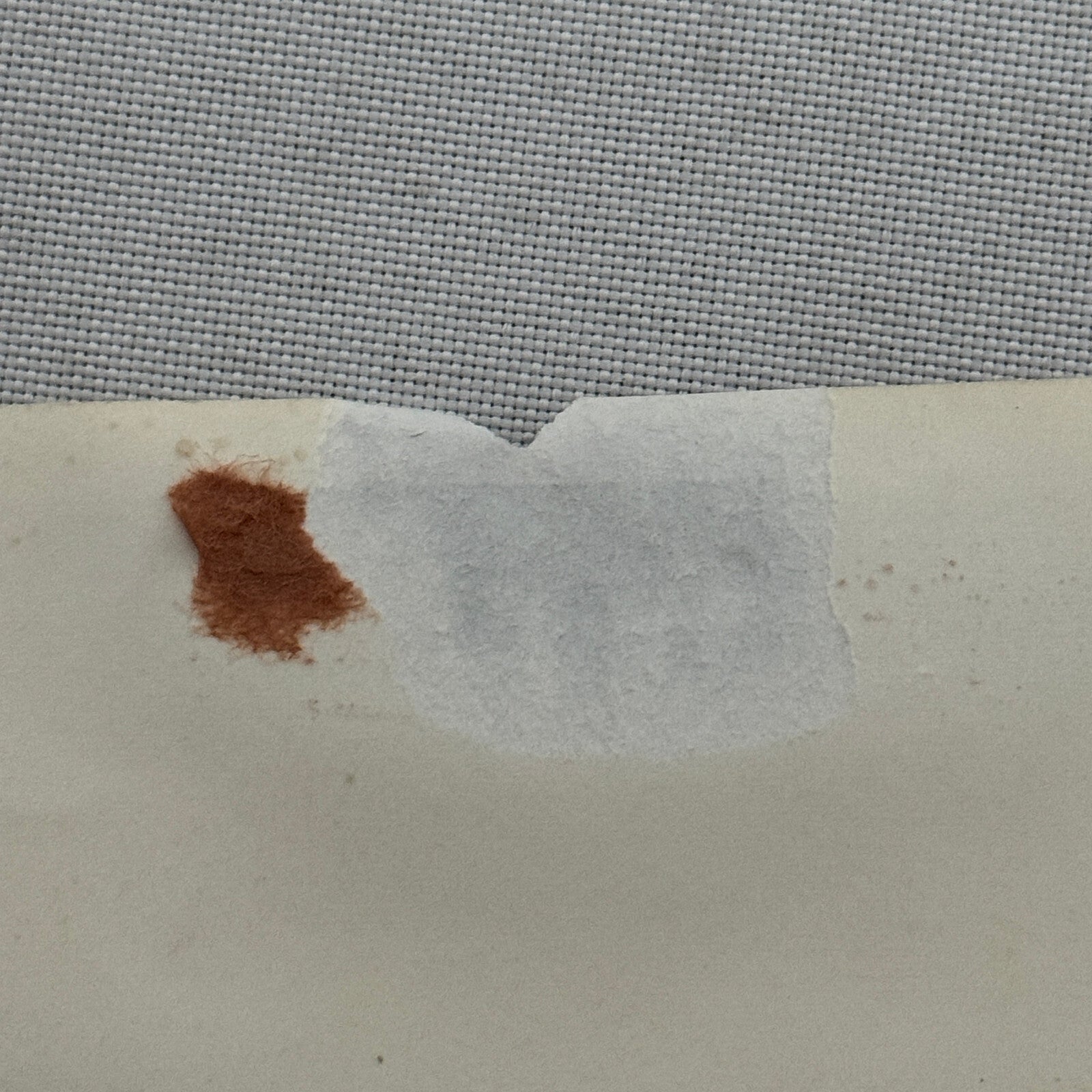 Vintage Circus Acrobat Act Balancing Photo Photograph Les Florentinos