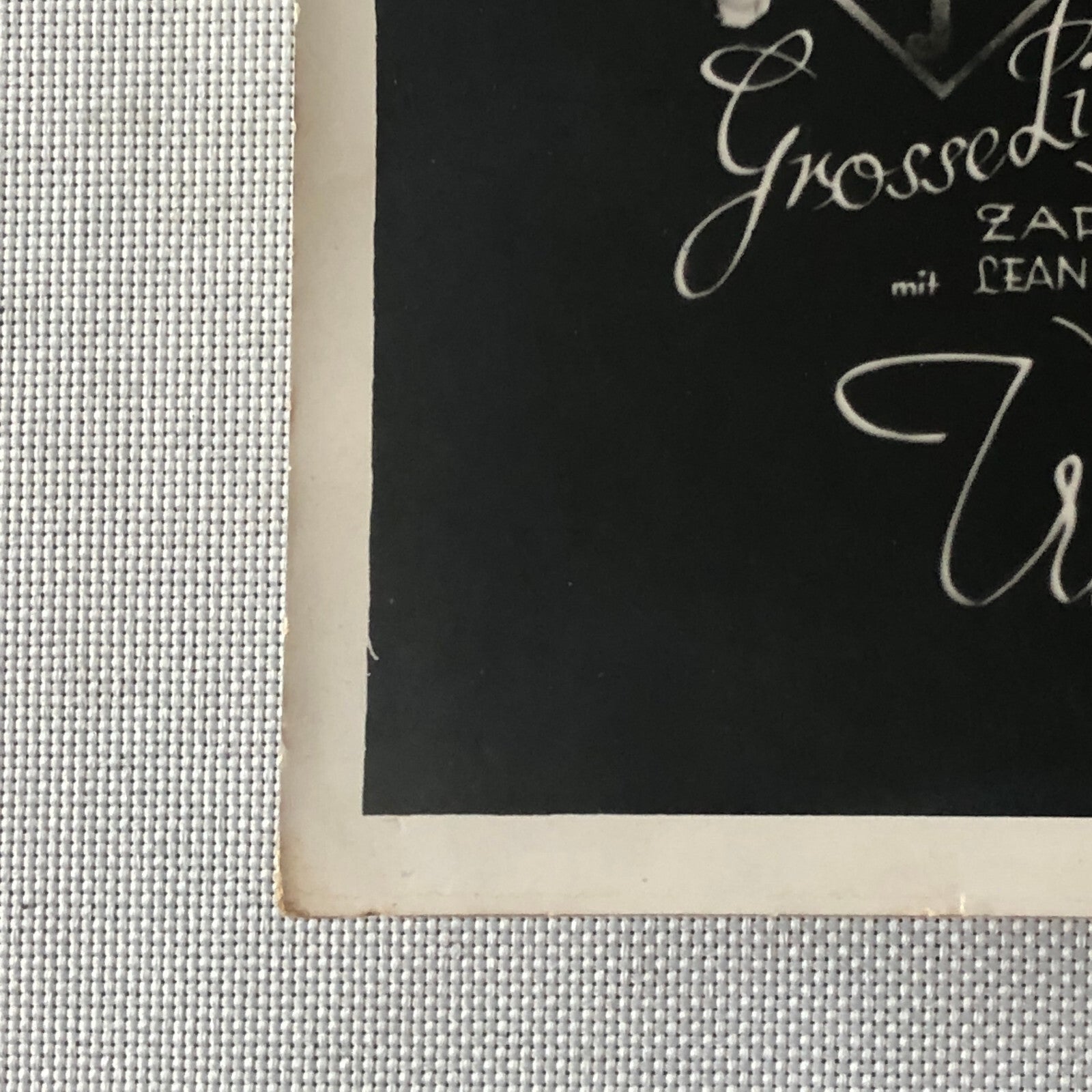 Circus Performer Wild West Show Rope Act Troupe Collins Vintage Photo German