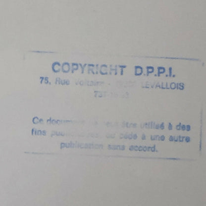 Vintage 1976 Formula 2 F2 Nogaro Grand Prix Racing Photo Photograph Chevron Car 