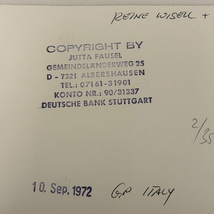 Vintage Racing Photo 1972 Italian Grand Prix Race Reine Wisell Peter Gethin