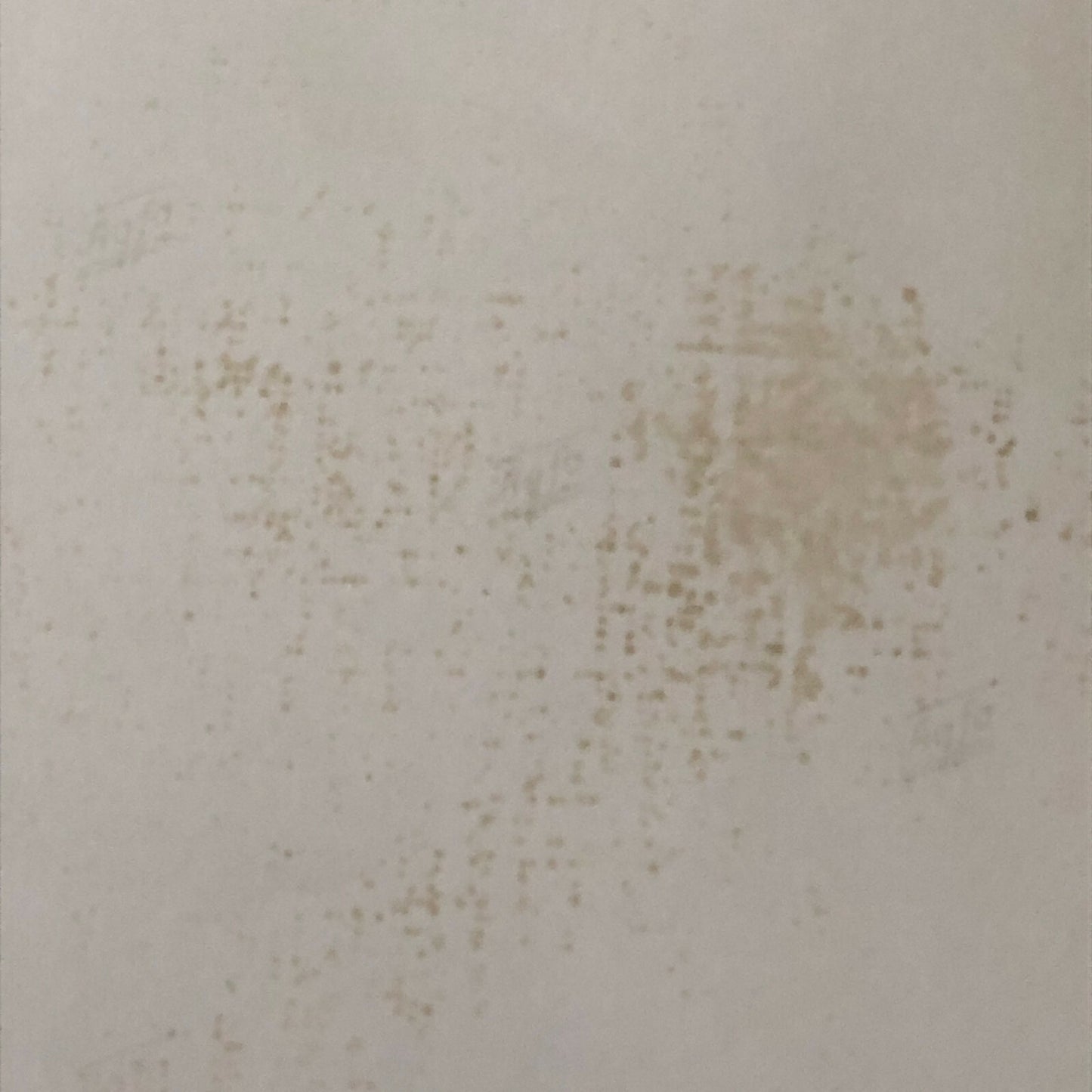 Vintage Racing Photo Photograph Stirling Moss Driver Portrait Dr Benno Muller 