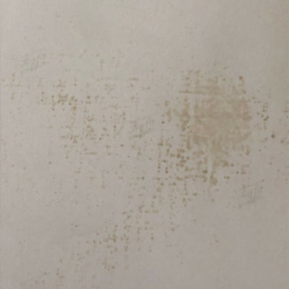 Vintage Racing Photo Photograph Stirling Moss Driver Portrait Dr Benno Muller 