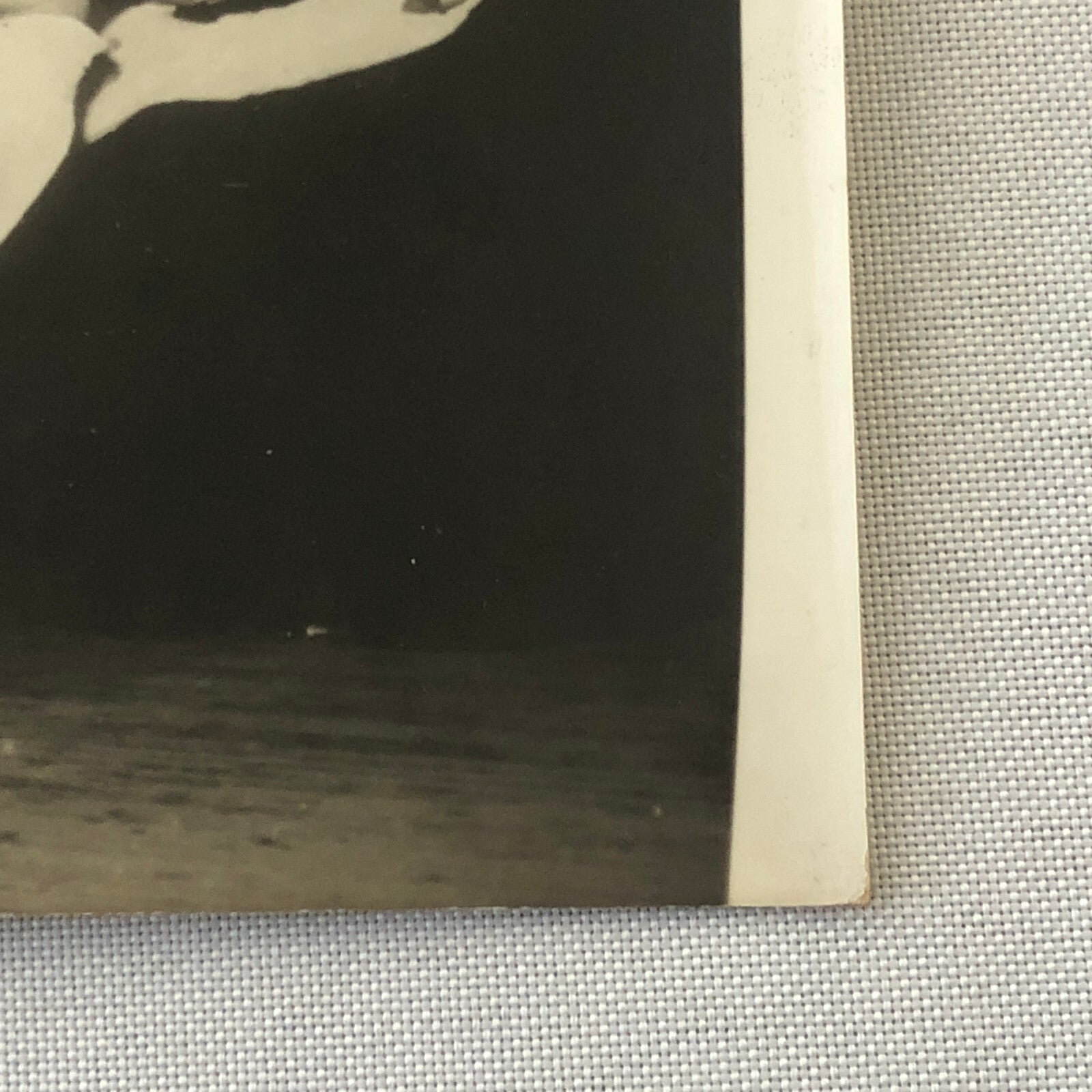 Circus Acrobat Bicycle Balancing Act Asian Photograph Keystone Photo Vintage