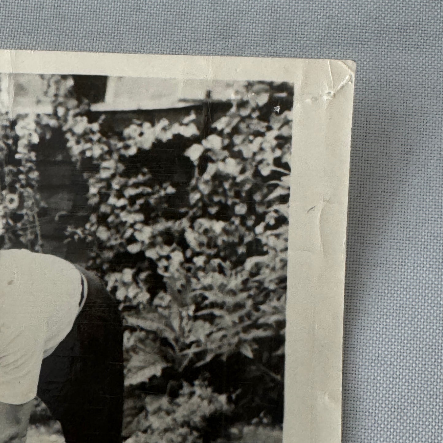 Vintage Movie Still Press Photo Photograph The Green Helmet 1961 MGM