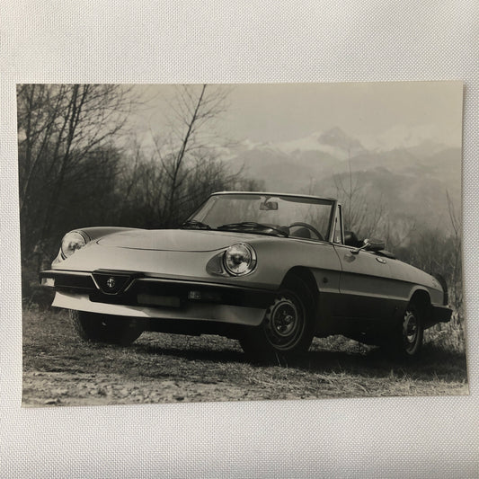 Alfa Romeo Spider Car Photo Photograph Print