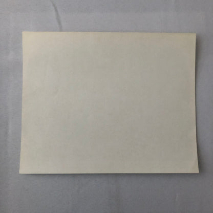 Vintage Indy Indianapolis Racing Photo Photograph 1971 Al Unser Mario Andretti +