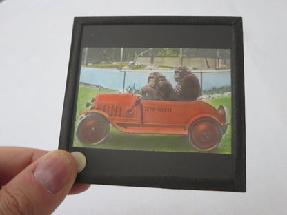Vintage Glass Advertising Magic Lantern Slide - Steyr Werke Car w/ Monkey Chimp