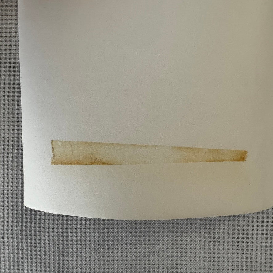 Vintage Racing Photo Photograph Denis Hulme Driver Gulf Racing