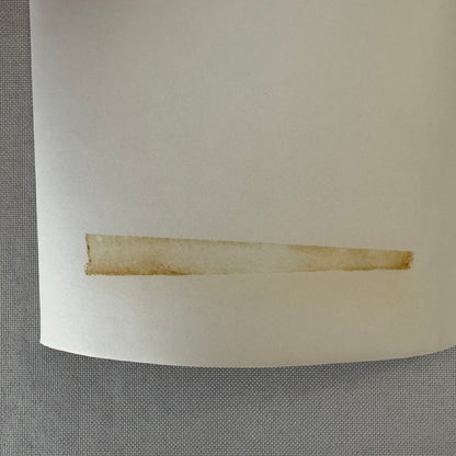 Vintage Racing Photo Photograph Denis Hulme Driver Gulf Racing