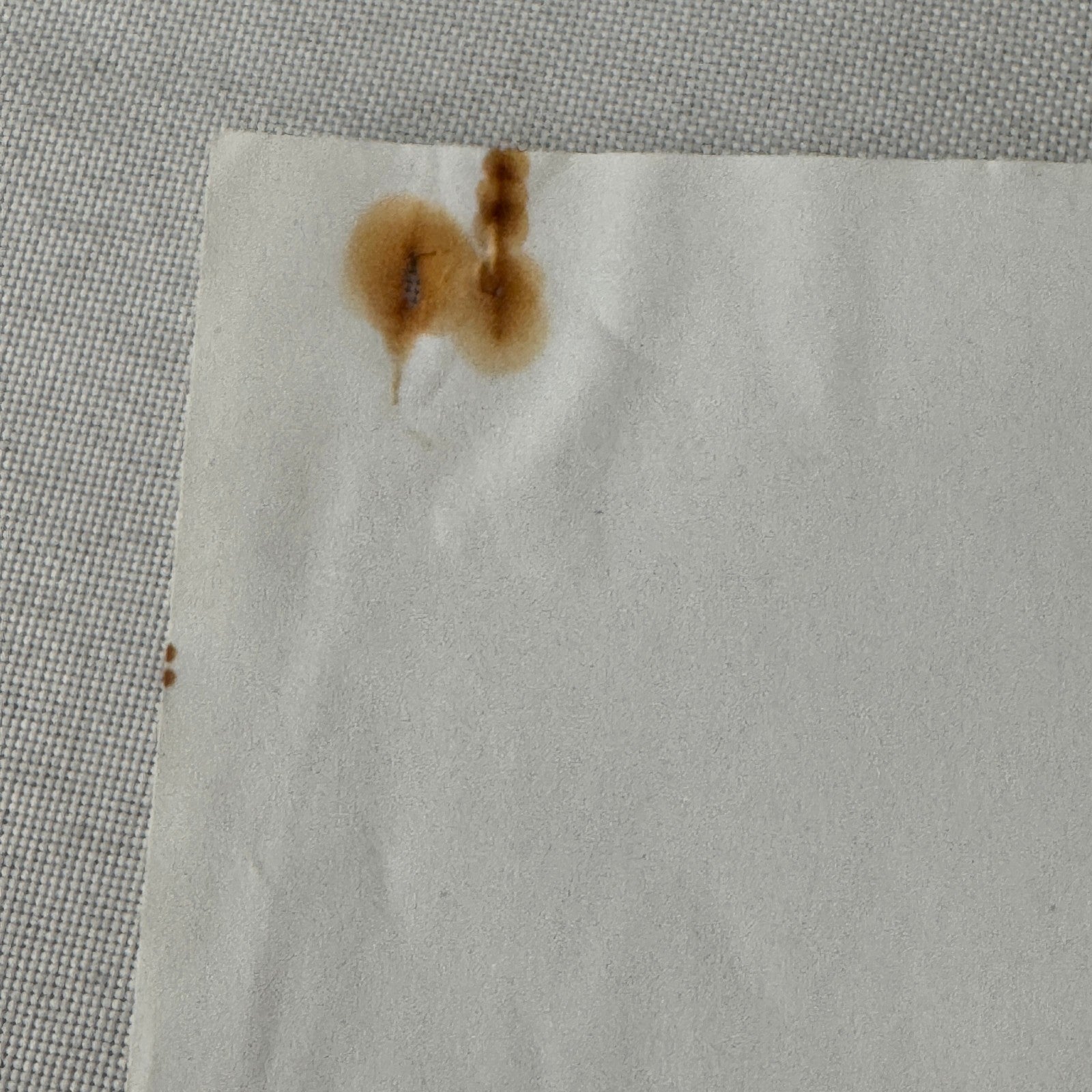 Monza 1000 KM Lancia Martini Racing Car Photo and Press Release Vintage