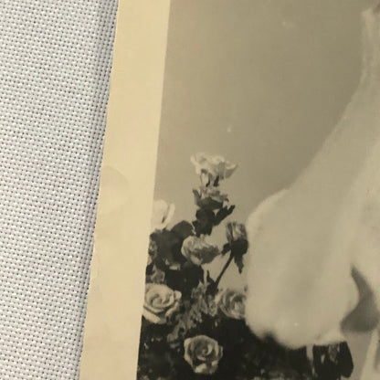 Janet Blair Singer Actress Photo Photograph