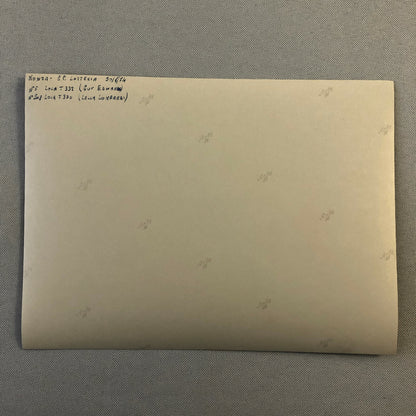 Vintage 1974 Italian Grand Prix Racing Photo Photograph Lola T330 T332 