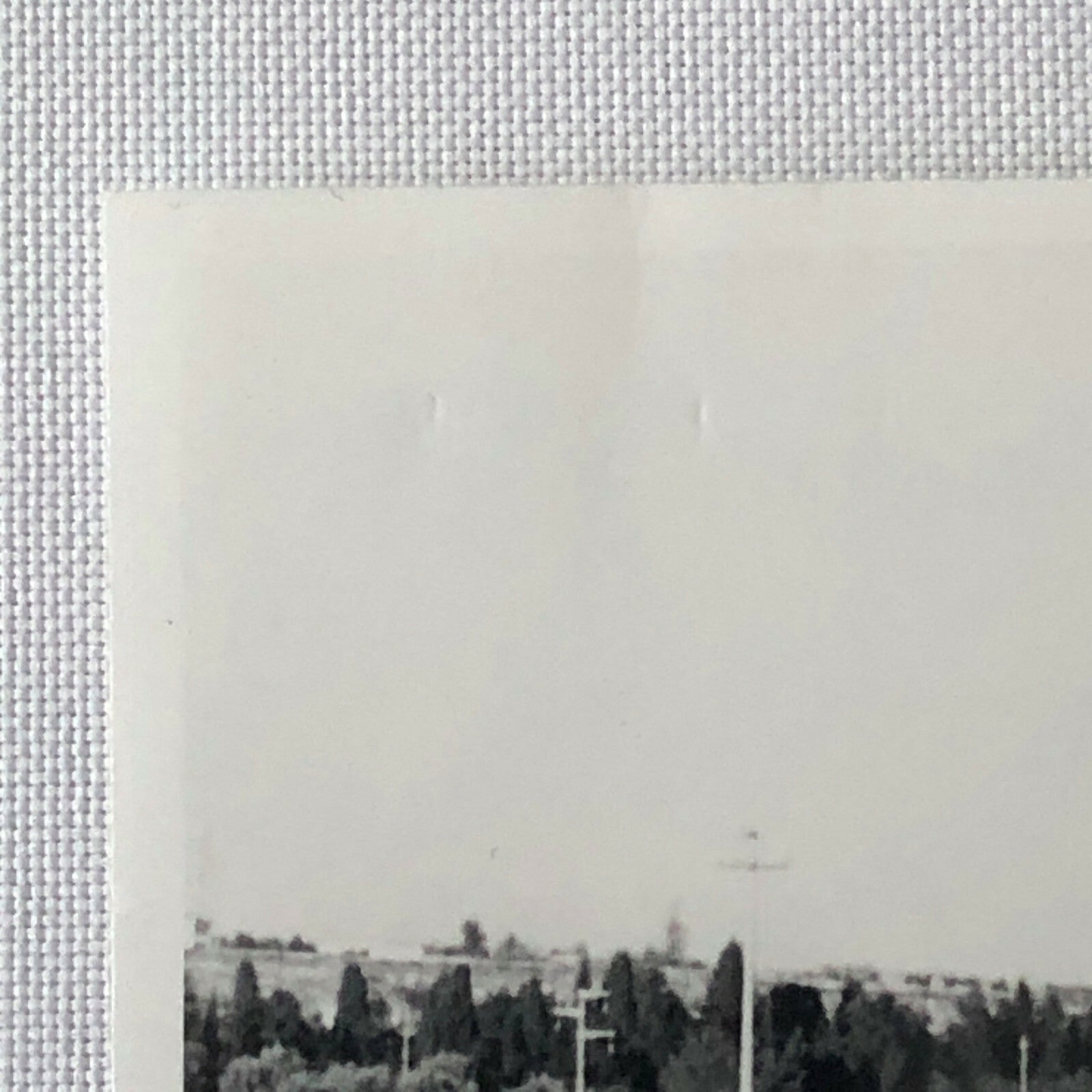 Vintage Sitrling Moss Lotus Racing Photo Photograph Bernard CAHIER