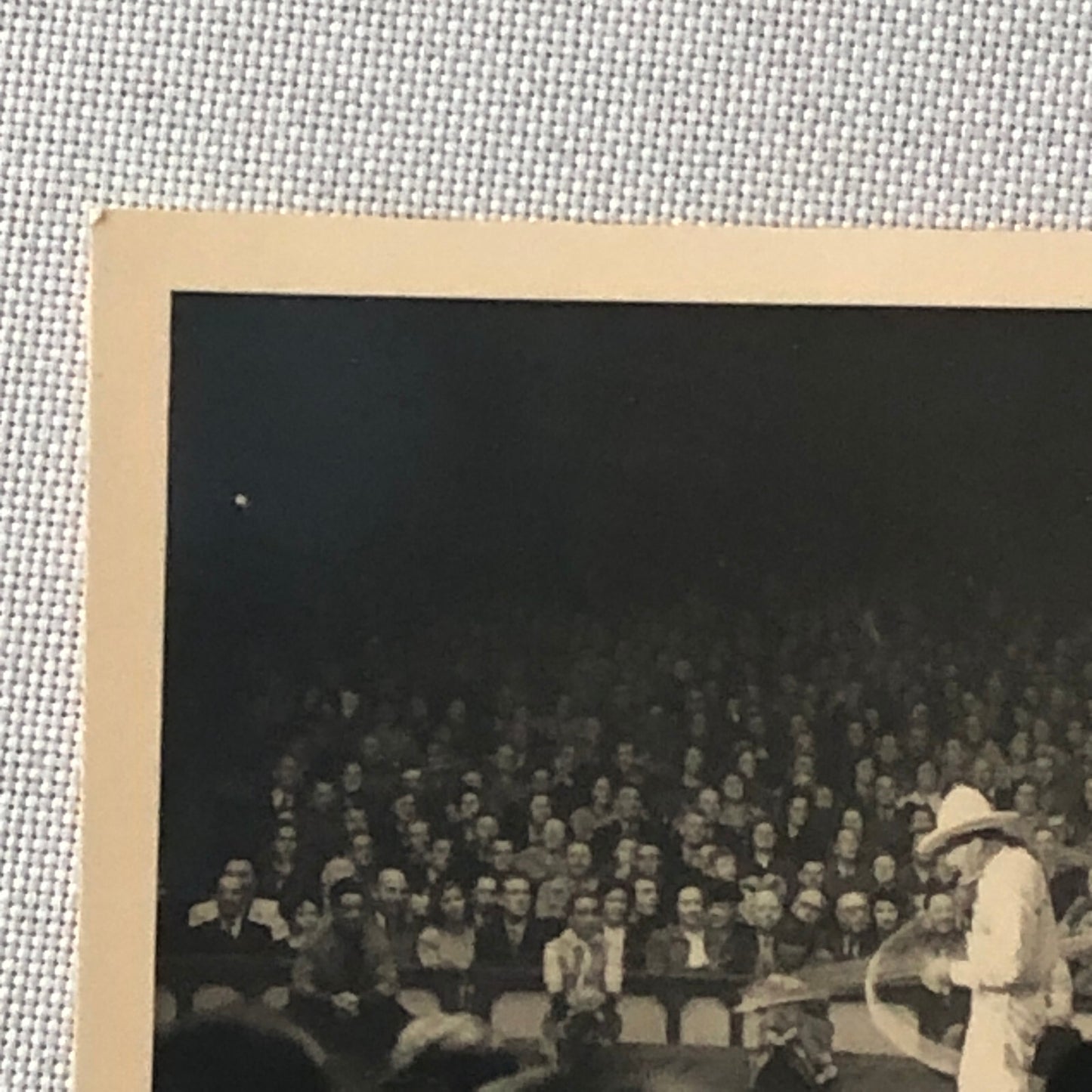 Circus Performer Wild West Show Rope Act Photo Photograph Print Vintage