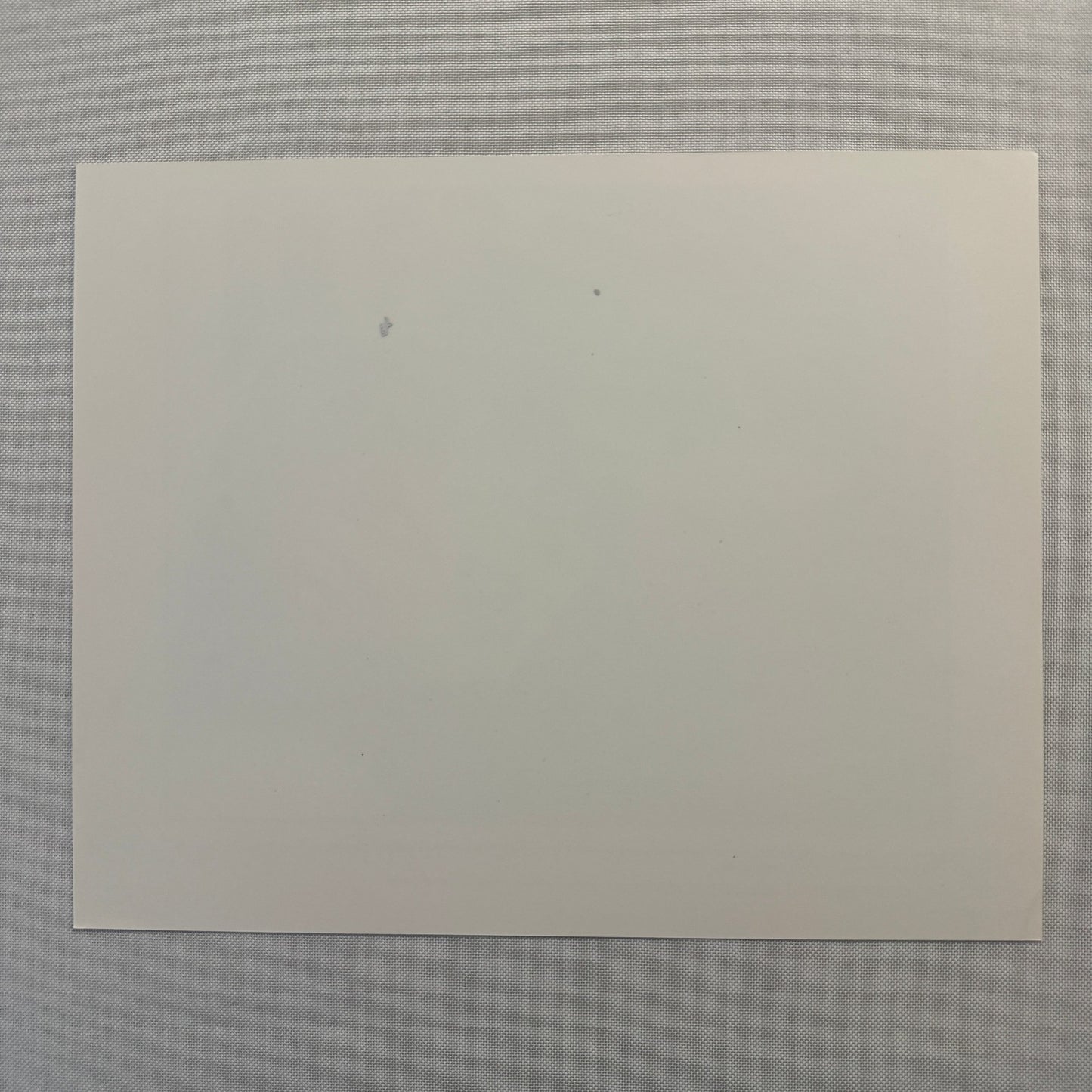 Jerry Maguire Movie Press Photo Publicity Photograph Tom Cruise Renee Zellweger