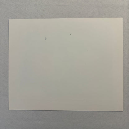 Jerry Maguire Movie Press Photo Publicity Photograph Tom Cruise Renee Zellweger