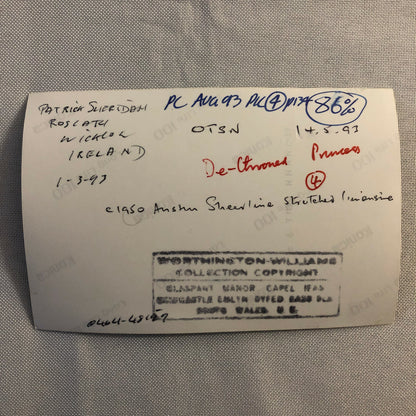 Vintage Austin Barn Find Junk Yard Car Part Photo Photograph Lot of 30